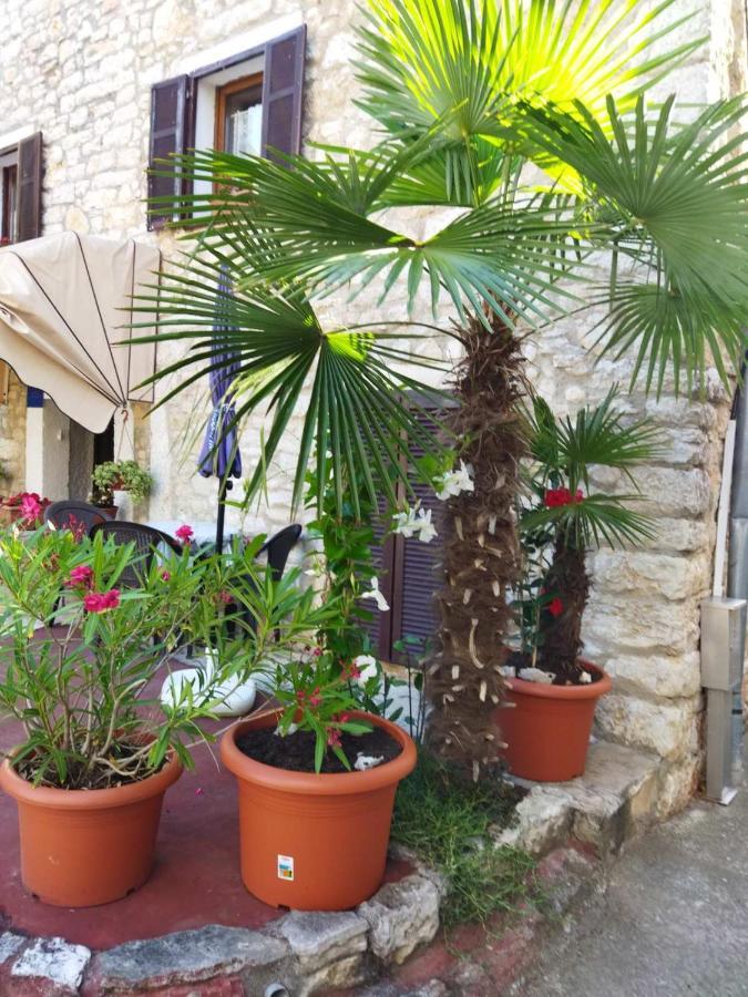 Maja Apartment Višnjan Εξωτερικό φωτογραφία